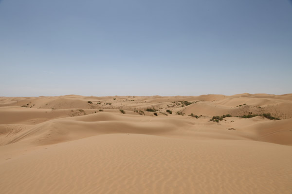 沙漠 拷贝.jpg
